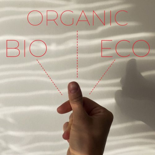 rozdíl mezi eco a bio